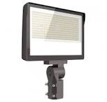 LED Flood Light 100W